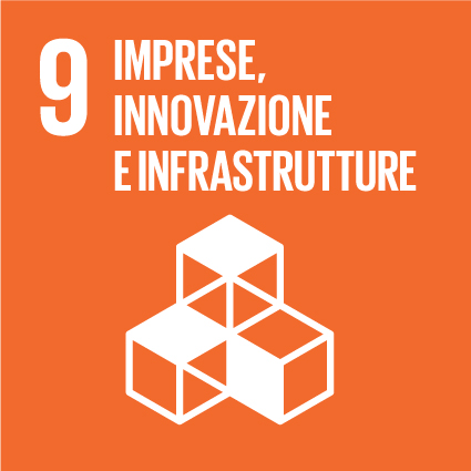 Goal 9