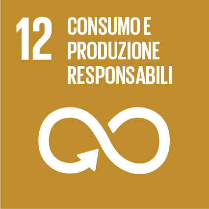 Goal 12
