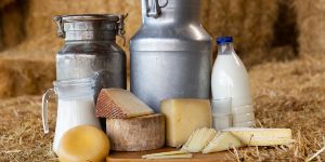 Evviva i fermenti lattici! Micro-ambasciatori della biodiversità della Lessinia nel formaggio - 14.07.2022