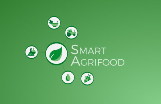 Smart agrifood