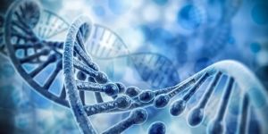 Identificati geni che regolano le manifestazioni cliniche della sindrome di Sjögren  - 02.12.2019