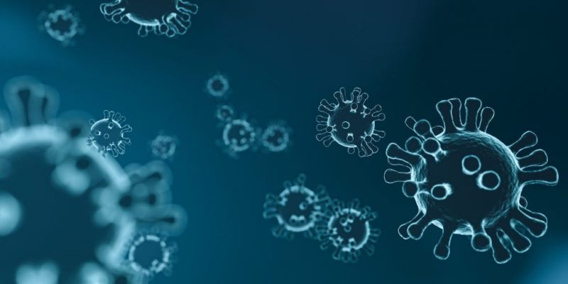 Emergenza Coronavirus  verso la proroga della chiusura dell’università di Verona - 29.02.2020