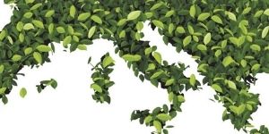 Il Green Deal. Un modello europeo di sostenibilità? - 06.10.2020