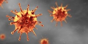 Un coronavirus del raffreddore potrebbe rendere più grave la COVID-19 - 29.10.2020